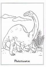 Coloring Pages Kids Fun Dinosaur Dinosaurs Dinosaurios Para Colorear Colorare Da Libro Rex Template δεινοσαυροι Tsgos Dinos Pintar Colores Animados sketch template