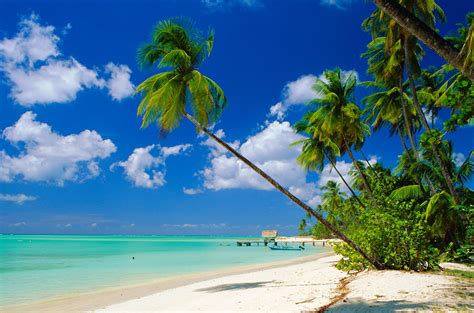 beaches  trinidad  tobago