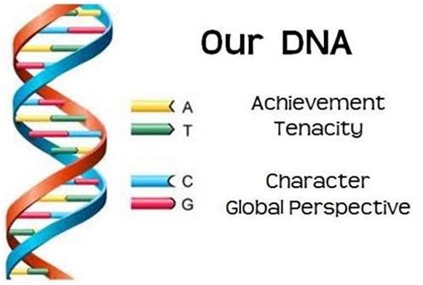 how much information could a single teaspoon of our dna store dna