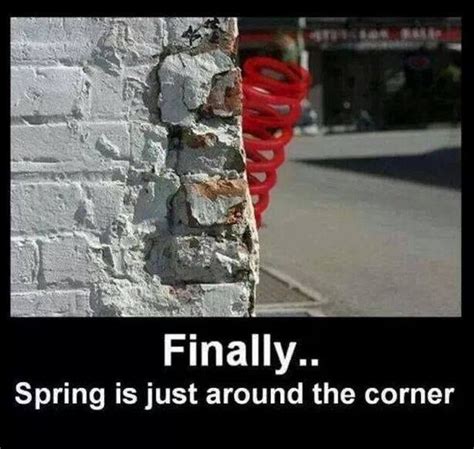 spring weather season    corner  funny picture funny puns funny pictures