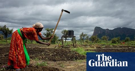 tackling hunger in kenya in pictures global development the guardian