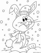 Coloring Rabbit Christmas Pages Splashing Water Kids Bestcoloringpages sketch template