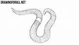 Worm Draw Drawing Earthworm Worms Drawings Realistic Animals Ayvazyan Stepan Tutorials Posted sketch template