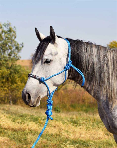 beaded rope halter professionals choice halters halters leads