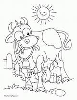 Coloring Cow Pages Library Chick Fil Printable Sun Grass sketch template