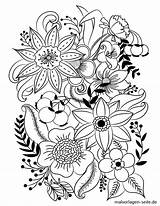 Erwachsene Blumen Feuilles Insipration Adulte Colorier Diverses Exotiques Blumenmandala Vecteurs Libres Plantes Plante Jecolorie sketch template