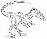 Velociraptor Pintar Descripción sketch template