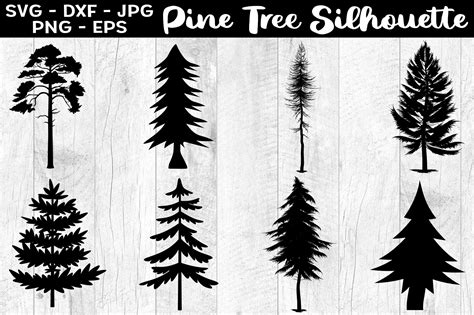pine tree silhouettes pine tree svg eps graphic  aleksa popovic
