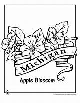 Flower Coloring Michigan State Pages Blossom Apple Kids Popular sketch template