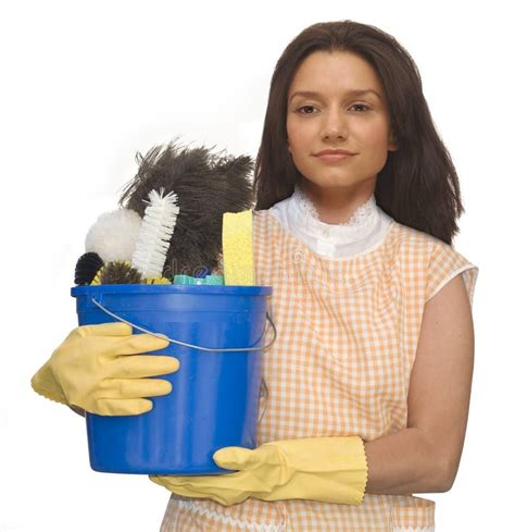 cleaning lady stock photo image  lady cheerful domestic