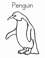 Penguin Coloring Pages Print Penguins Kids Printable Cartoon Baby Cute Color Clipart Clip Antarctica Little Club Sheets Template Outline Cliparts sketch template