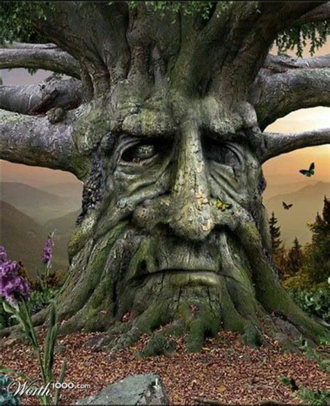 tree spirit magical tree tree faces tree sculpture