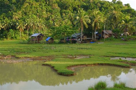 life   philippine countryside stock image image  original