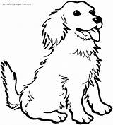 Coloring Pages Dog Dogs Color Printable Animal Puppy Sheets Found Kids sketch template