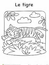 Tigre Exotiques Petits sketch template