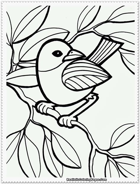 bird coloring pages realistic realistic coloring pages