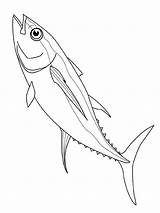 Vissen Fisch sketch template
