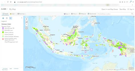 kabupaten kota  prosentase kawasan hutan terluas  indonesia lintas bumi