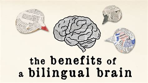 becoming bilingual can give your brain a boost what recent research has to say open culture