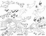 Coloring Reefs Reef Coloringpagesfortoddlers Ages Marvelous sketch template