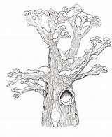 Tree Hollow Coloring Clipart Drawing Colouring Pages Trees Janbrett Template Cliparts Mitten Clip 699px 4kb Getdrawings Library sketch template