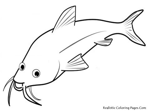 realistic fish coloring pages realistic coloring pages