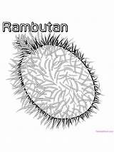 Coloring Rambutan Fruit Pages Visit Sheets sketch template