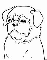 Coloring Pages Pug Dog Beagle Dogs Printable Minecraft Print Color Cool Colouring Baby Cute Animals Christmas Drawing Getcolorings Getdrawings Puppies sketch template