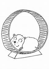 Hamster Coloring Pages Color Kids Hamsters Print Colouring Printable Books Book Pet Toddler Will Sheets Momjunction sketch template