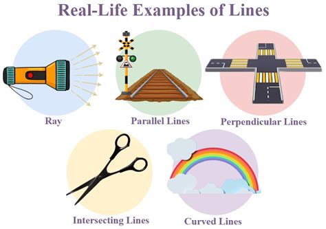 lines types definition applications faqs