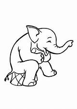 Elefant Zirkus Ausmalbild Elefanten Ausdrucken Weinender sketch template