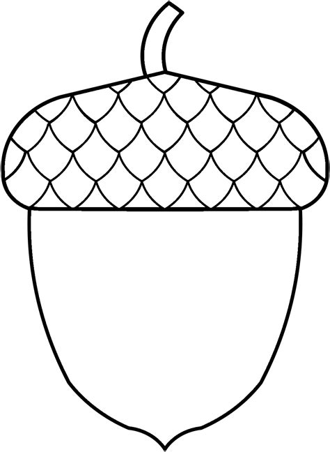 acorn printable template fall coloring autumn sketch coloring page