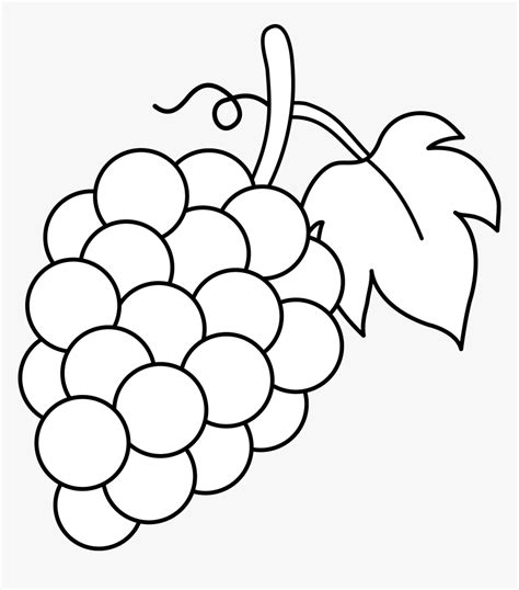 grapes coloring pages hd png  kindpng
