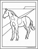 Horse Coloring Paint Pinto Pages Horses Drawing Sheet Clydesdale Riding Printable Realistic Getdrawings Colorwithfuzzy Showing sketch template