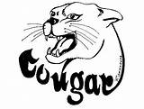 Cougar Cougars Printablefreecoloring Coloriage Couger Coloriages sketch template