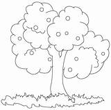Tree Drawing Color Kids Drawings Trees Getdrawings Coloring Childern Below Down Find Will sketch template