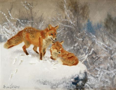 Two Foxes In Winter Landscape Painting By Bruno Liljefors Fine Art