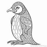 Coloring Penguin Pages Zentangle Adult Adults Stress Books Anti Tattoos Illustartion King Colouring Mandala Dreamstime Sheets Book Details High Printable sketch template