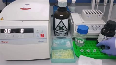 Dna Extraction From Sandfly Phenol Chloroform Method Part 3