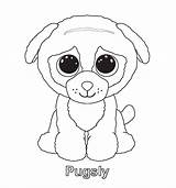 Beanie Coloring Pages Ty Boo Print Animal sketch template