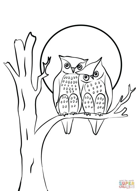 owls couple  love coloring page  printable coloring pages