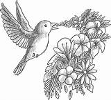 Oiseau Fleurs Chante Grayscale Oiseaux Artherapie Colorier Coloriages Adulte Gratuitement Imprimez Freepik sketch template