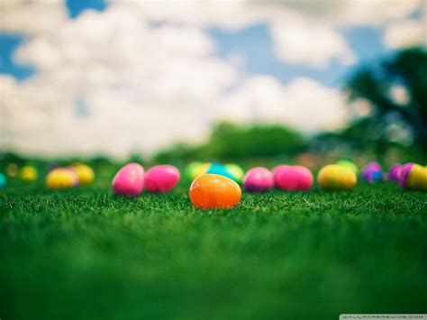 easter  hd wallpapers  easter wallpaper