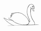 Swan Drawing Line Draw Step Various Small Making Beak Wing Samanthasbell Bump Tip Along Almost Done Feathers Above Dark Well sketch template