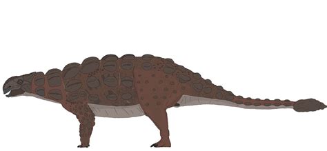 reconstruction  ankylosaurus  accurate   rdinosaurs
