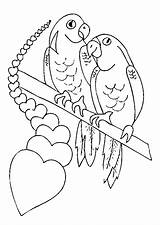 Coloriage Perroquet Colorier Couple Hugolescargot Amoureux Coeur Gratuit Un Dessin Amour Animaux Perroquets Coloriages Sur Enregistrée Depuis sketch template