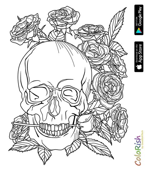 pin  barbara  coloring skull female sketch skull color