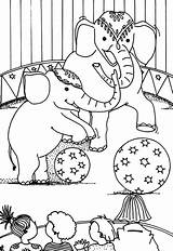 Coloring Pages Circus Elephant Watching Show sketch template