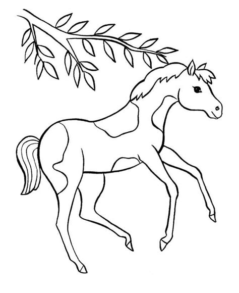 spotted pony coloring pages collection  pony coloring pages