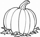 Pumpkins Clipartmag Coloringhome sketch template